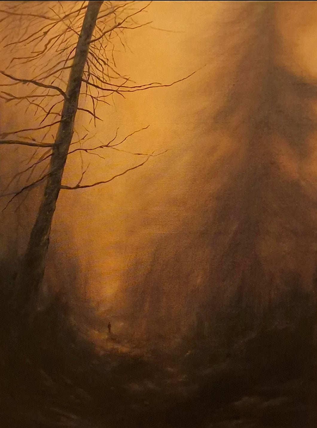 The whispers of old trees